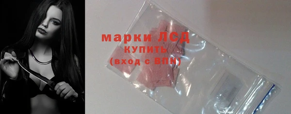 шишки Балахна