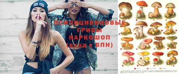 дживик Михайловка