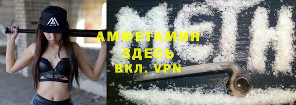 прущие грибы Баксан